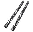 Wilbers Progressive Fork Springs F800GS '08 - On