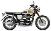 Bonneville T100